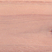 shiro.gif